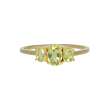 Dublin | Ring Peridot