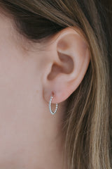 Dress Circle | Small Ball Creoles