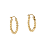 Dress Circle | Small Ball Creoles